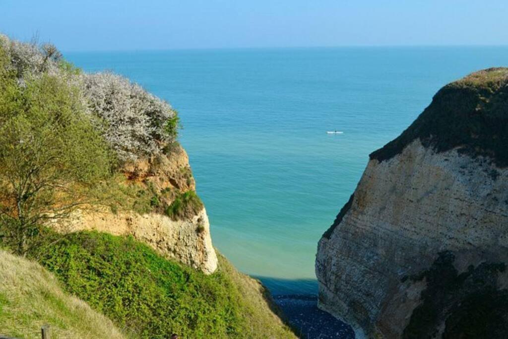 Superbe Propriete Bord De Mer - Le Clos Ricarda Sainte-Marguerite  ภายนอก รูปภาพ